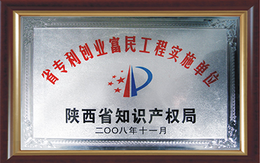 陜西省專(zhuān)利創(chuàng)業(yè)富民工程實(shí)施單位（2008）